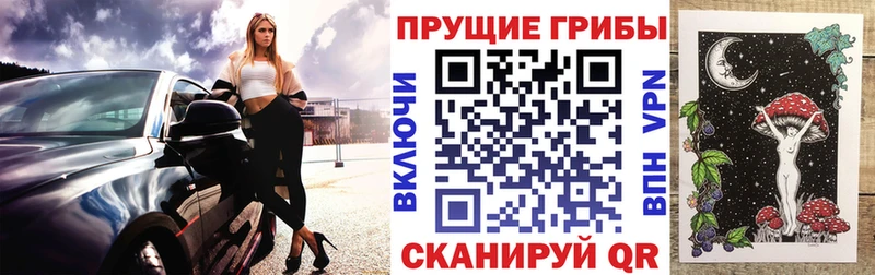 как найти закладки  Новоржев  Галлюциногенные грибы мицелий 